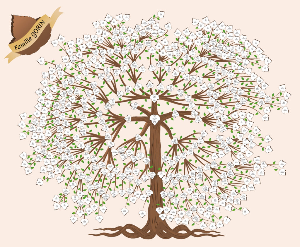 création arbre généalogique